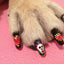 Pawdicure Polish Pens - Choose From 13 Colors! - Dog Nail Polish