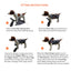 NeoAlly Upgraded Dog Surgical Recovery Vest for Dogs and Cats
