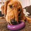 Tiktok Best Seller Bundle - The toys that go viral for a reason