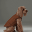 Reversible Dog Vest Jacket - Purple Caramel