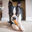 Dogginstix Bully Stick Dog Chew, All-Natural, Grass-Fed Beef, Odor-Free