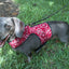 Doggy Holster Small Dog Harness (Made in USA)