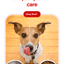 Homemade Dog Treat Party Bag – 1 lb Variety Mix