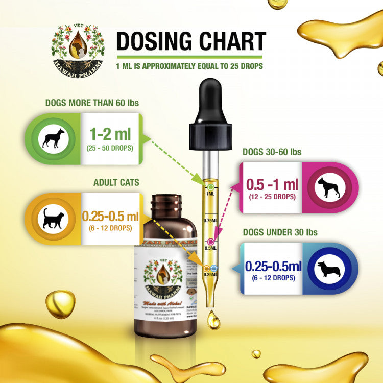 JOINT HEALTH / Joint Support Remedy