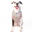 Sprinkles Dog Sweater