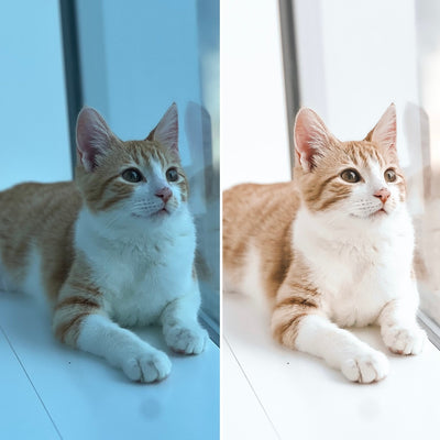 Dreamy Presets