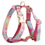 Dreamy Rainbow Floral Print Set