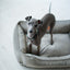Chester & Lee | Classic Velvet Sleeper Dog Bed Gray