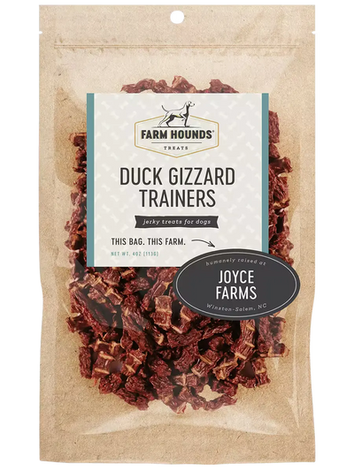 Duck Gizzard Trainers