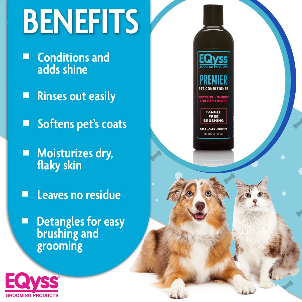 Premier Conditioner