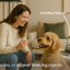 LAY LO Dog Enrichment Starter Bundle & Gift Box