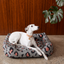 Chester & Lee | Velvet Sleeper Dog Bed Gray & Peach Leopard Print