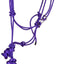 Jeffers Easy-On Clip Nylon Rope Horse Halter with Lead