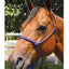 Jeffers Easy-On Clip Nylon Rope Horse Halter with Lead