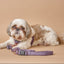 3-in-1 City Dog Leash - Lilac Gray