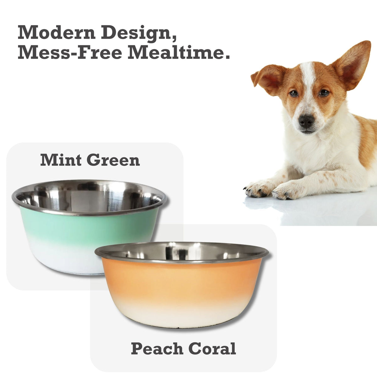 Deep Stainless Steel Dog Bowl – Peach Coral