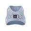 SoHo Dog Harness - Rockstar Hudson