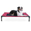 K&H Elevated Dog Bed, Small to X-Large