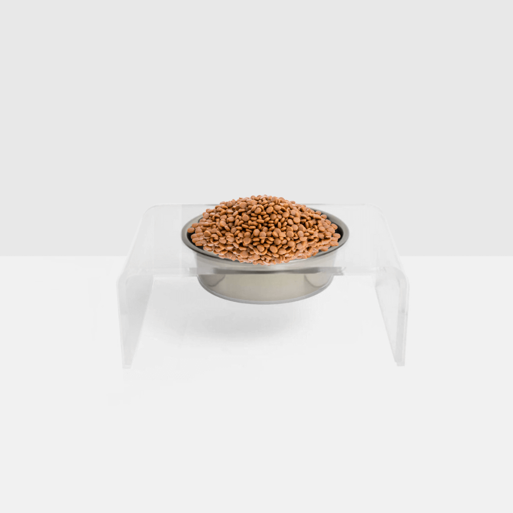 Single Silver Feeder