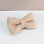 Beige Teddy Set