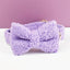 Teddy Purple Set
