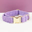 Teddy Purple Set