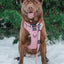 Dog Step-in Harness - Dusty Rose