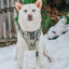 Dog Collar - Matcha