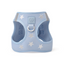 SoHo Dog Walking Set - Rockstar Hudson