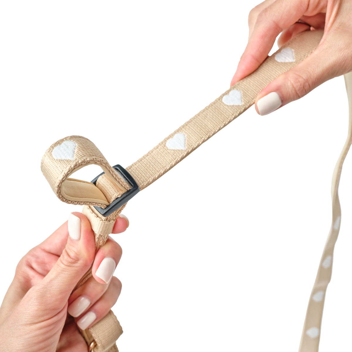 3-in-1 City Dog Leash - Icon