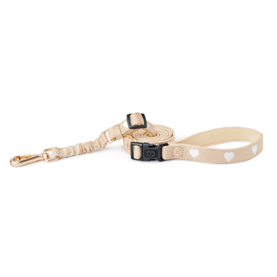 3-in-1 City Dog Leash - Icon