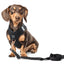 City Dog Leash - Solid Black for Small Rockstar