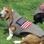 American Flag Wool Dog Sweater