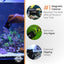 Flipper x Cichlid Bros Bundle