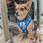 Dog Adjustable Harness - Care Bears™ Grumpy Bear