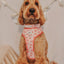 Dog Adjustable Harness - My Melody™