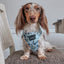 Dog Adjustable Harness - Berry Sassy