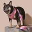 Sprinkle Me Pink Reversible Harness