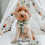 Dog Collar - Haunt Mess
