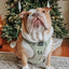 Dog Step-in Harness - Matcha