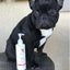 Hydrating Butter - For Dog's Skin & Coat - Leave-In Moisturizer