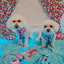 Dog Adjustable Harness - Blueberry Milk