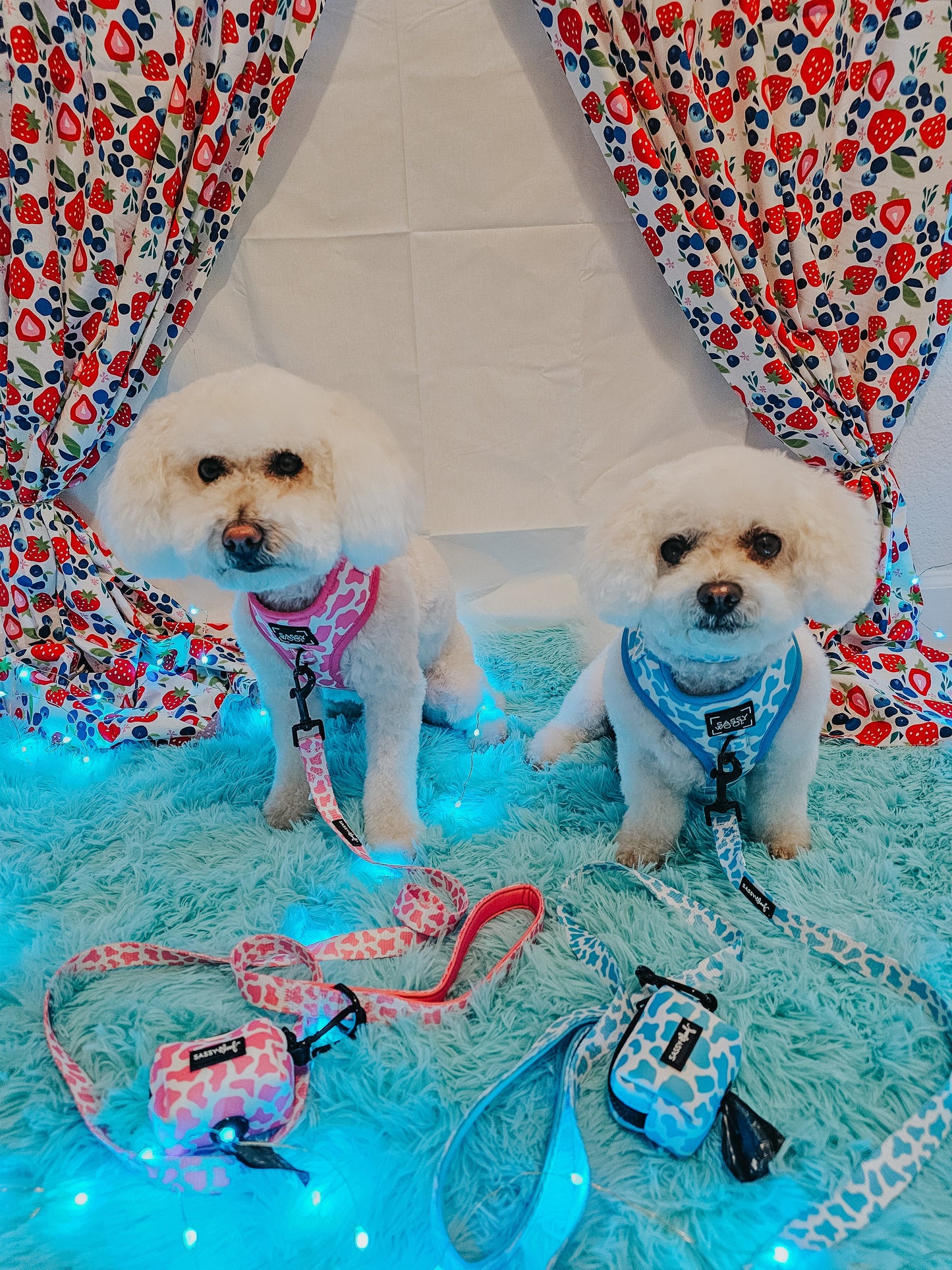 Dog Adjustable Harness - Blueberry Milk