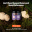 Lion's Mane Mushroom Extract Powder