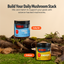 Turkey Tail Mushroom Extract Powder