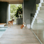 Clear Front Pet Gate