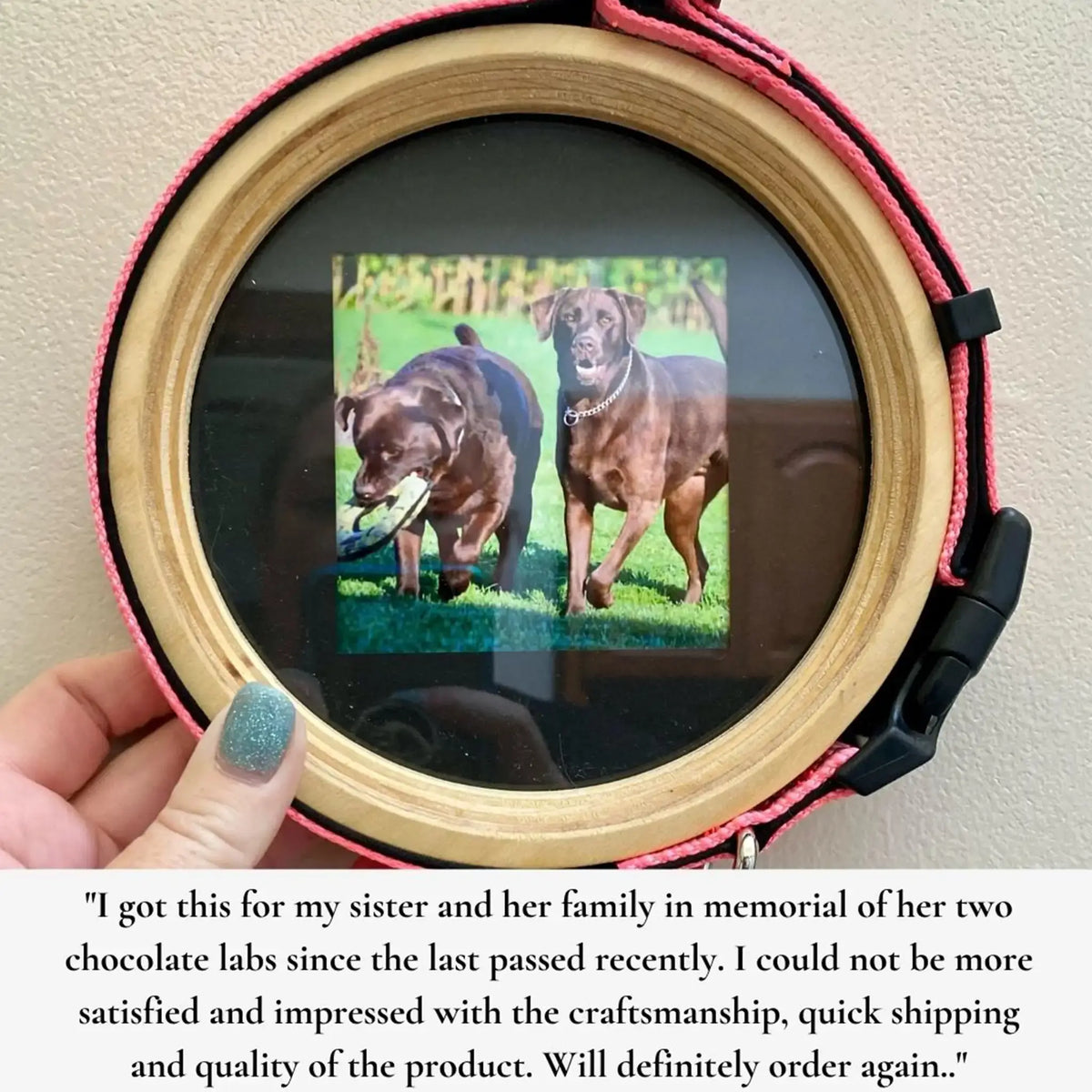 Large/Extra Large Dog Collar Frame | "The Great Dane"