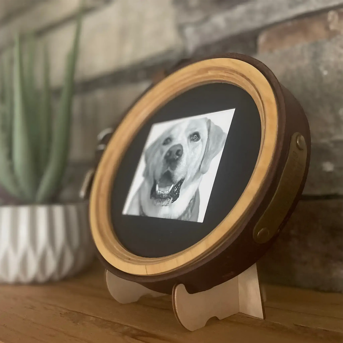 Extra Wide Dog Collar Frame