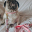 Dog Collar - STAR WARS™ Princess Leia