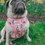 Dog Adjustable Harness - STAR WARS™ Princess Leia